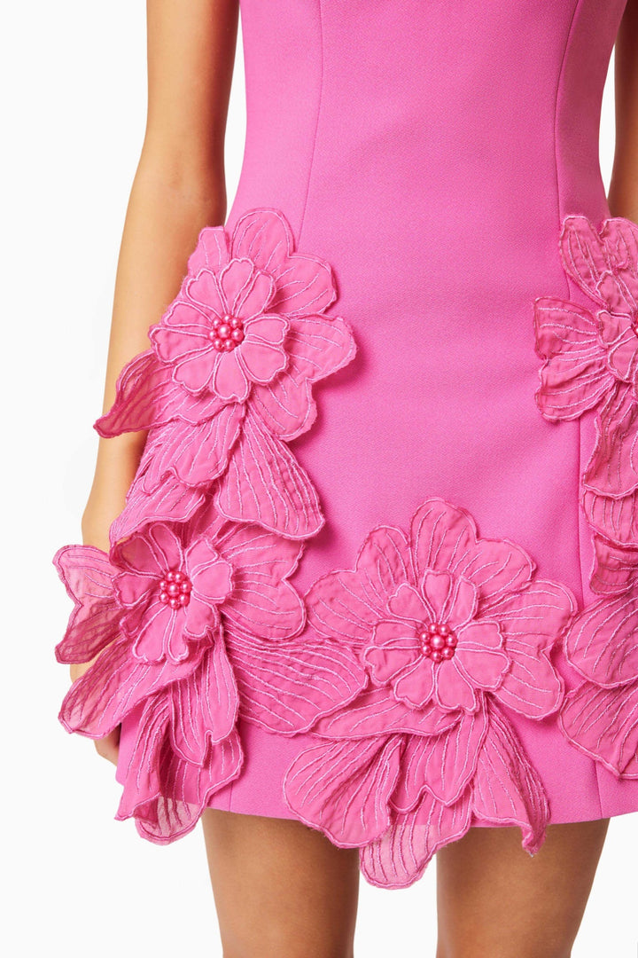 Adalgisa Floral Appliqué Mini Dress - Pink - Stellouette