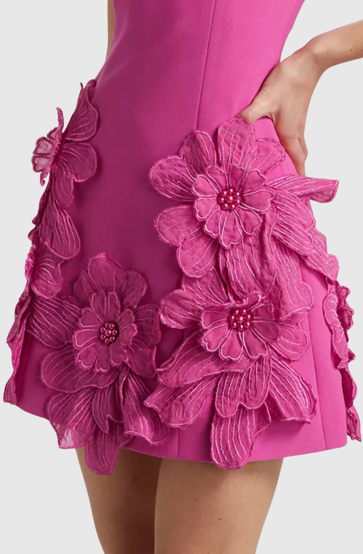 Adalgisa Floral Appliqué Mini Dress - Pink - Stellouette