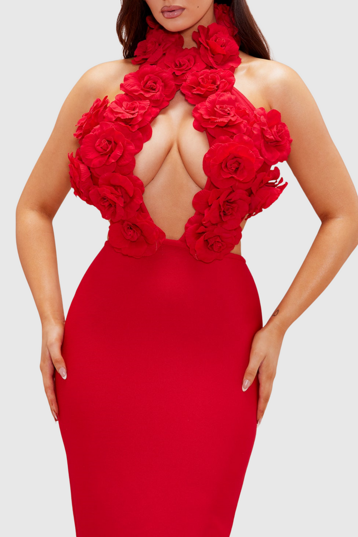 Datherine Floral Appliqué Halter Maxi Bandage Dress - Red - Stellouette