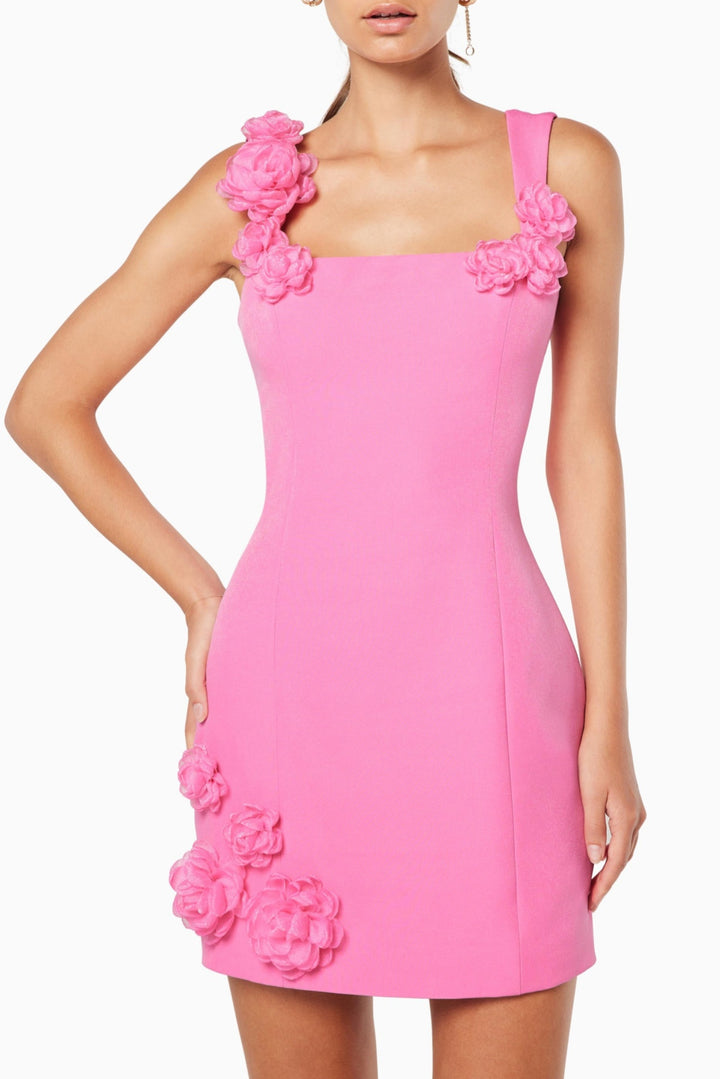 Dilanne Floral Appliqué Mini Dress - Pink - Stellouette