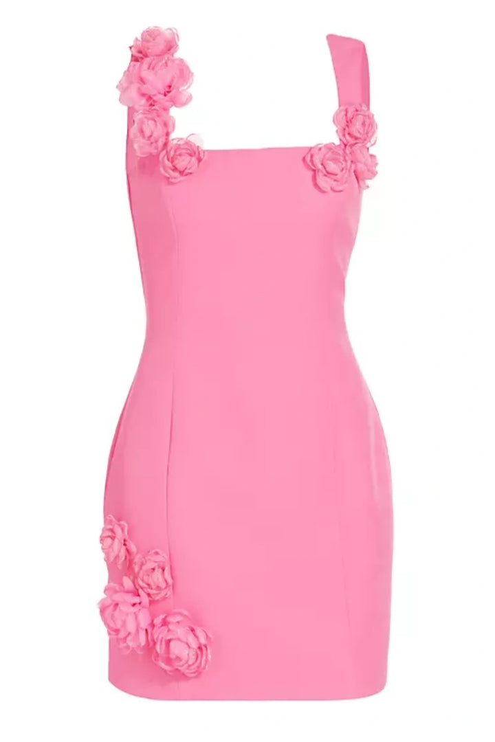 Dilanne Floral Appliqué Mini Dress - Pink - Stellouette