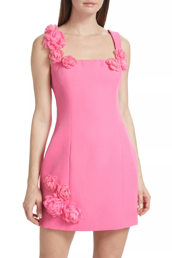 Dilanne Floral Appliqué Mini Dress - Pink - Stellouette