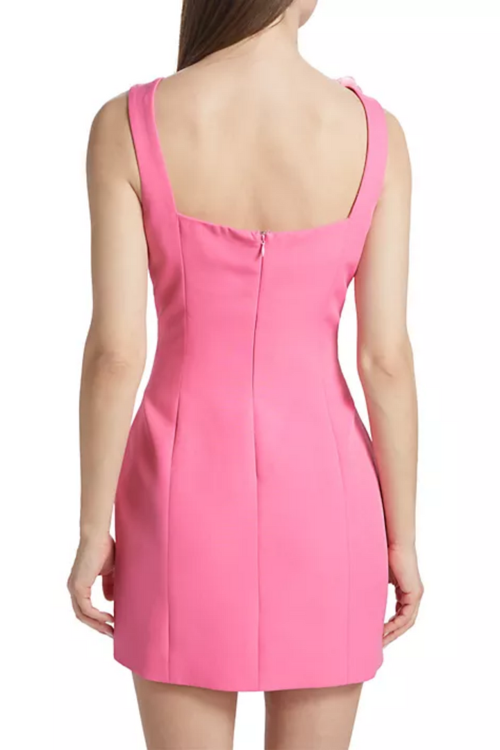 Dilanne Floral Appliqué Mini Dress - Pink - Stellouette