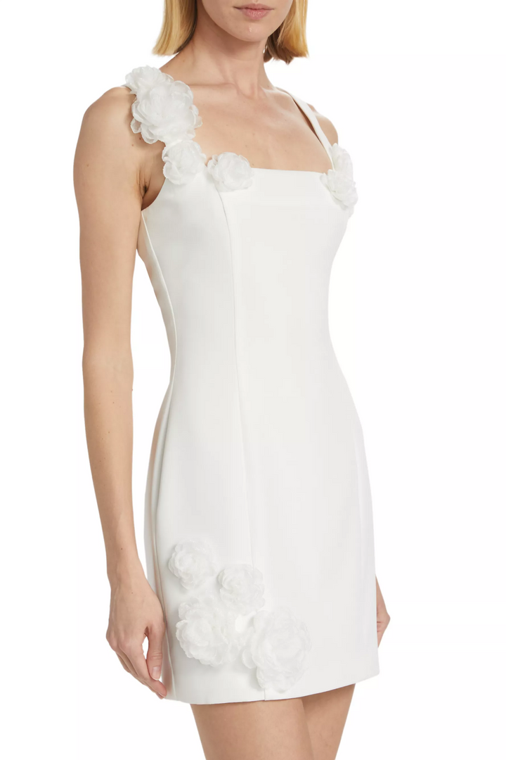 Dilanne Floral Appliqué Mini Dress - White - Stellouette