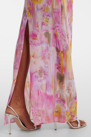Ludema Floral Appliqué Print Maxi Dress