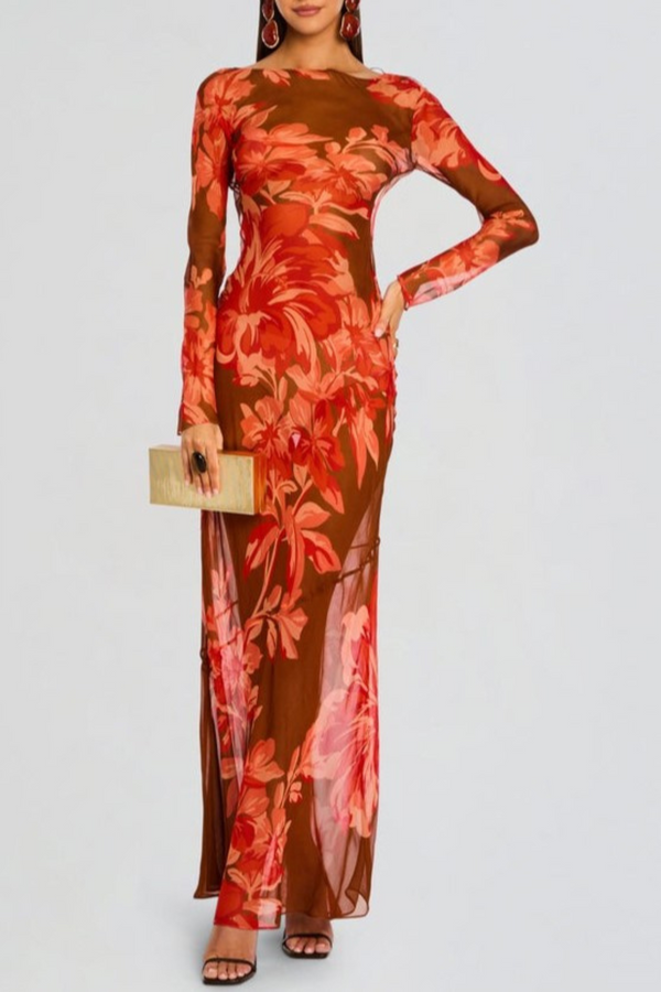 Milada Backless Maxi Silk Dress - Floral