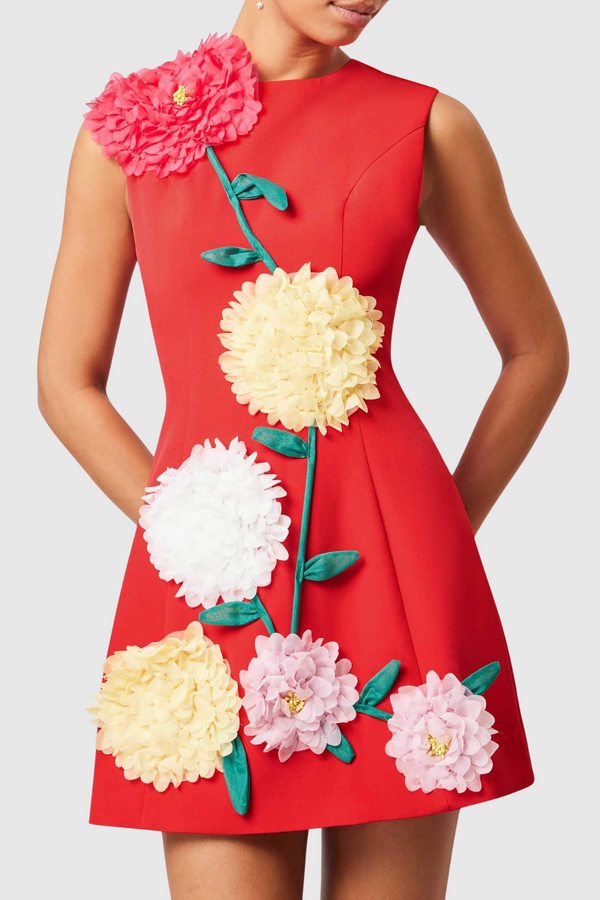 Trevia Floral Appliqué Sleeveless Mini Dress - Red